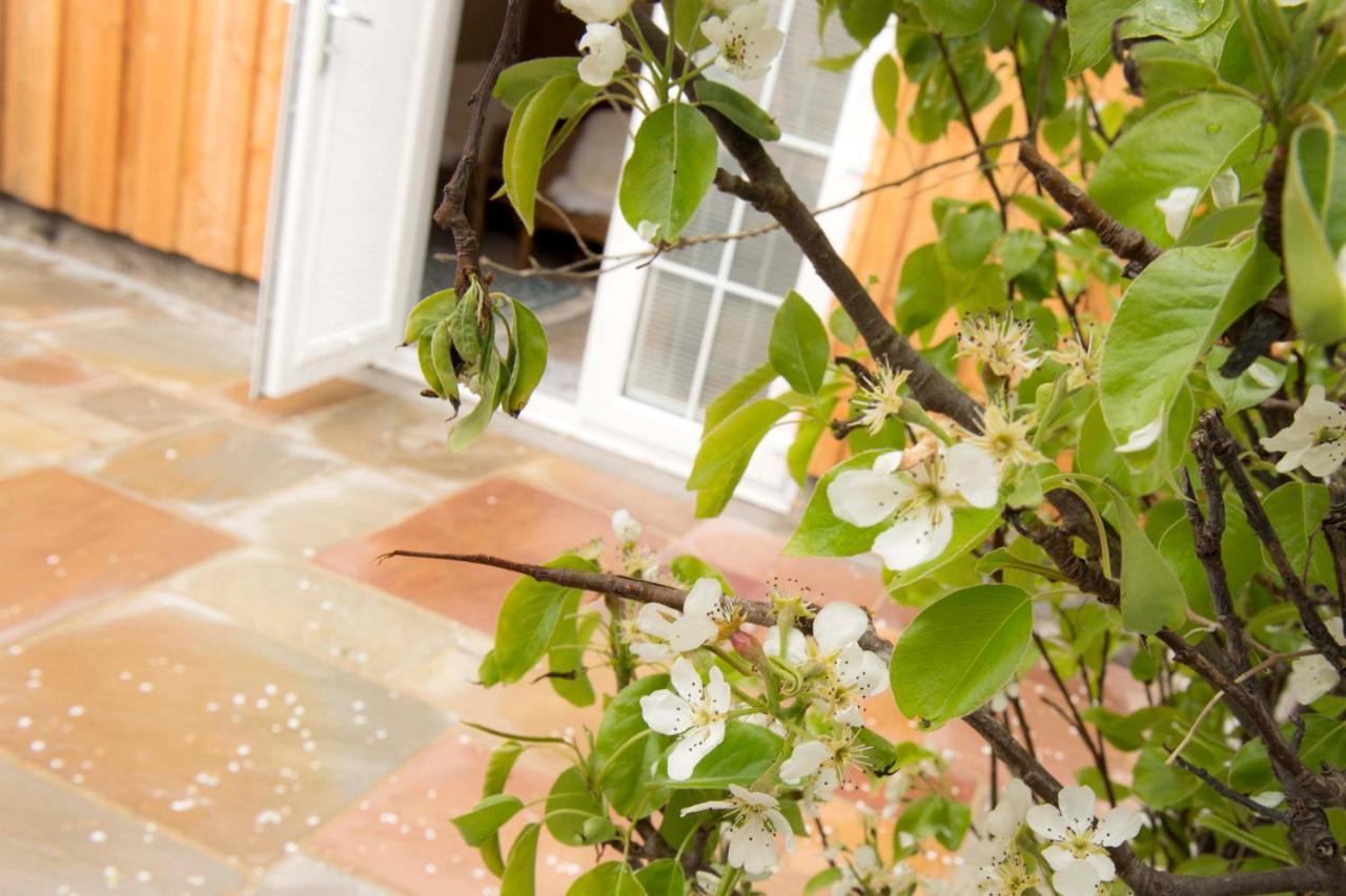 Pear Tree Cottage كولين المظهر الخارجي الصورة